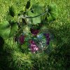 Hand Painted Wine Decanter - Image 2