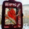Hand painted candle holder ,red cardinal - Image 10