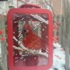 Hand painted candle holder ,red cardinal